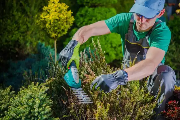 landscaping services Simsboro